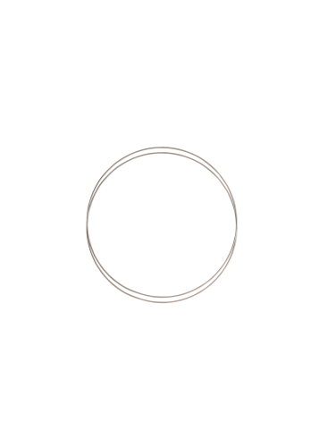 19091_Metal_rings_D15_Mushroom-1.png
