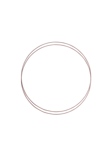 19085_Metal_rings_D20_Vintage_rose-1.png