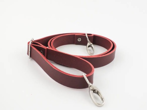 reg110bordo.jpg