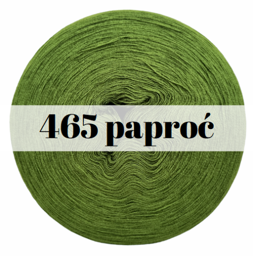 465 paproć.png