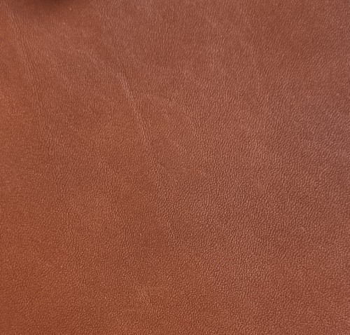 20231114_100711.jpg