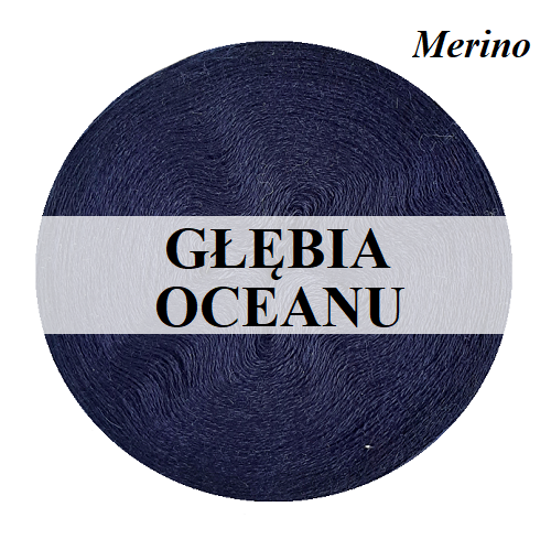4PB12 GŁĘBIA OCEANU.png