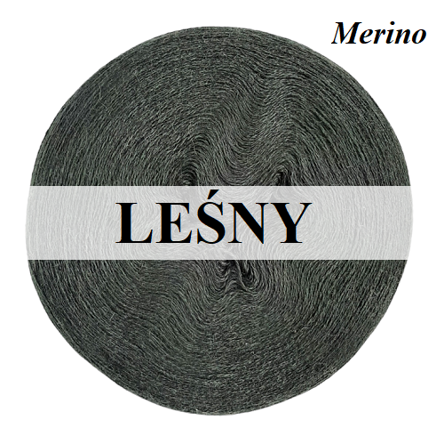 4GY21 LEŚNY.png