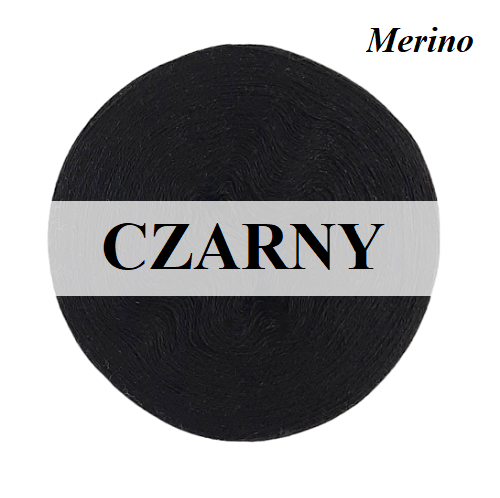 NN1.0 CZARNY.png