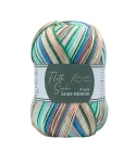 Włóczka Rellana Flotte Socke 4f. Seide-Merino 1842