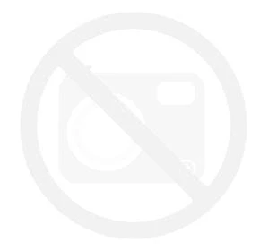 Rafia Ispie 121B Willow (1)